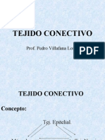 Tejido Conectivo