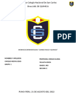 Informe en Proceso 210822 Quimica