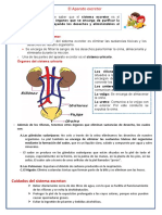 El Aparato Excretor CIENCIA