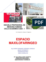 Espacio Máxilo Faringeo - 2020-1 PDF