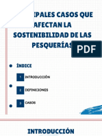 Principales Casos Que Afectan La Sostenibilidad de Las Pesquerías.