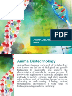 Animal Biotechnology