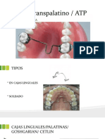 Arco Transpalatino ATP