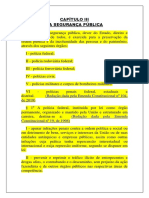 1 Segurança Publica PDF