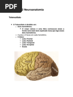 Resumo Neuroanatomia