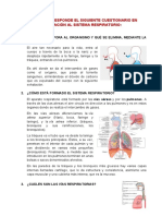 El Sistema Respiratorio