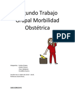 Segundo Trabajo Grupal Morbilidad Obstétrica