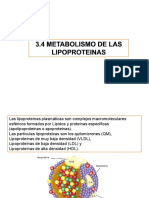 3.4 Metabolismo Lipoproteinas