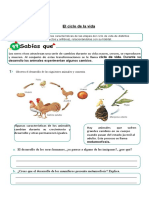 Ciclo de Vida 2°