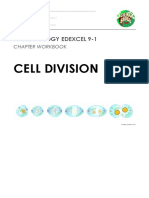 Cell Division