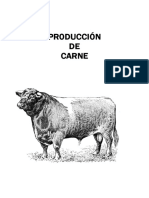 Compilado Produccion de Carne Internado