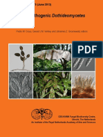 Phytopathogenic Dothideomycetes (PDFDrive)