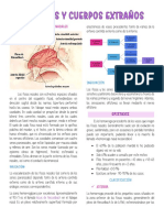 Epistaxis y Cuerpos Extraños