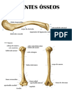 Acidentes Ósseos