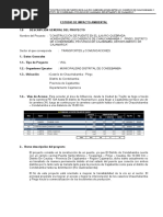 EIA - Pte. Chauchabmba y Pingo