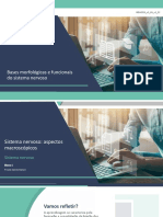 Bases Morfológicas e Funcionais Do Sistema Nervoso: WBA0916 - v1.0 WBA0916 - v1 - VA - v1 - 23