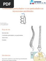 Corticoides Particulados Vs No Particulados en Inyecciones Peridurales