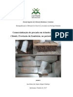 Ana Maria Dos Santos Miguel Maibaze Comercialização de Pescado em Trânsito Do Distrito de Chinde, Província Da Zambézia, No Período de 2014 À 2016