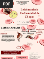 Seminario Leishmaniasis-Chagas