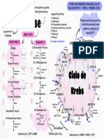 Glicólise e Ciclo de Krebs