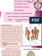 Osteología de La Pelvis (2) (Autoguardado)