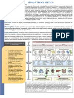 Sepsis y Shock Septico