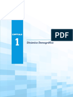 Ensayo de Demografía Dinámica