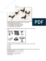 Soal Usbn 2017 Biologi