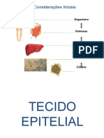 1.2 Aula - Tecido Epitelial Modif 2017