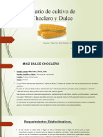 Calendario de Cultivo de Maiz Dulce 22