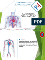 CIRCULATORIO