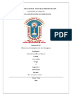 Clase Monogenea