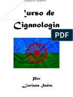 Curso de Ciganologia