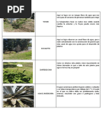 Impacto Ambiental