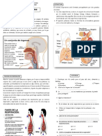 Julio 21 Anatomia Tercero