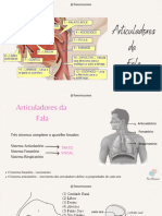 Articuladores Da Fala Mapa