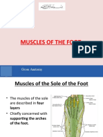 Muscles of Foot 2