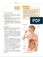 Nutricion 2 AP - Digestivo 6-7