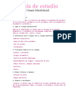 Guia de Estudio Cirugia Maxilofacial