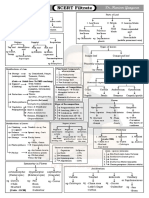 NCERT Filtrate 12 PAGES