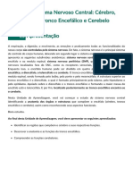 Sistema Nervoso Central: Cérebro, Tronco Encefálico e Cerebelo