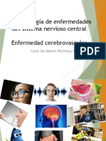 Clase 14.enfermedades Cerebro Vasculares.22abr22