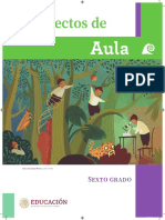 6º Proyectos de Aula Sexto Grado