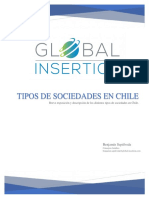 Tipos de Sociedades en Chile GI.V.15.10.2019