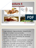 Lecture4 Biochemistry