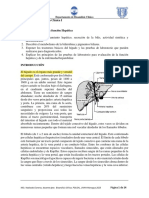 Unidad 7. Pruebas de Función Hepática