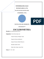 Laboratorio de Esclerometria