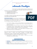 Desenvolvimento Fonológico