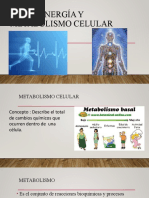 Energia y Metabolismo Celular