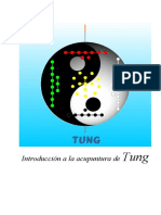 Acupuntura Del DR Tung